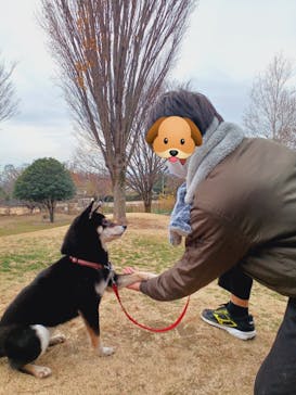 世界の名犬牧場に投稿された画像（2022/12/6）