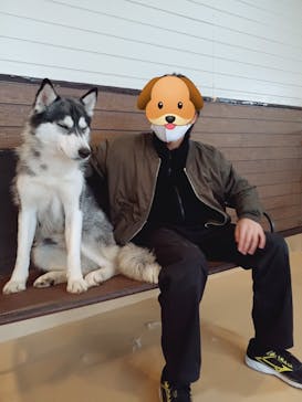 世界の名犬牧場に投稿された画像（2022/12/6）