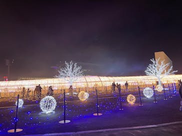 東京メガイルミに投稿された画像（2022/12/6）