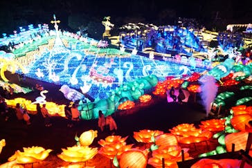 伊豆ぐらんぱる公園に投稿された画像（2022/12/6）