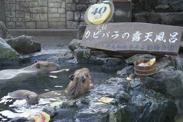 伊豆シャボテン動物公園に投稿された画像（2022/12/6）