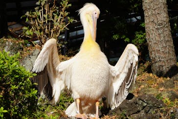 伊豆シャボテン動物公園に投稿された画像（2022/12/6）