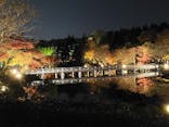 国営昭和記念公園 秋の夜散歩に投稿された画像（2022/12/6）