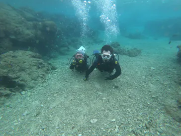 武藤潜水に投稿された画像（2022/12/6）