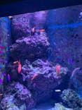 沖縄美ら海水族館に投稿された画像（2022/12/6）