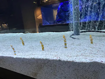 すみだ水族館に投稿された画像（2022/12/6）