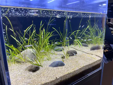 すみだ水族館に投稿された画像（2022/12/6）