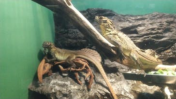 サンシャイン水族館に投稿された画像（2022/12/6）