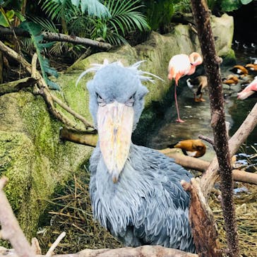 那須どうぶつ王国に投稿された画像（2022/12/6）