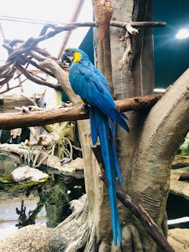 那須どうぶつ王国に投稿された画像（2022/12/6）