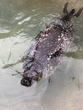 那須どうぶつ王国に投稿された画像（2022/12/6）