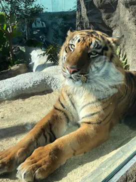 神戸どうぶつ王国に投稿された画像（2022/12/6）