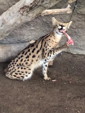 神戸どうぶつ王国に投稿された画像（2022/12/6）