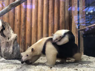 神戸どうぶつ王国に投稿された画像（2022/12/6）