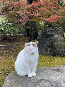 三溪園に投稿された画像（2022/12/6）