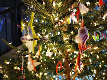 安城産業文化公園デンパークに投稿された画像（2022/12/6）