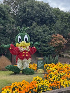 レオマリゾートに投稿された画像（2022/12/6）