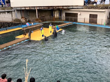 越前松島水族館に投稿された画像（2022/12/6）