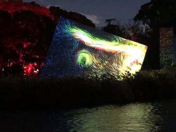 チームラボ ボタニカルガーデン 大阪に投稿された画像（2022/12/6）