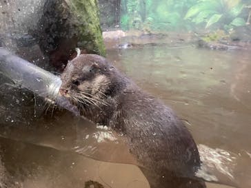 伊豆シャボテン動物公園に投稿された画像（2022/12/6）
