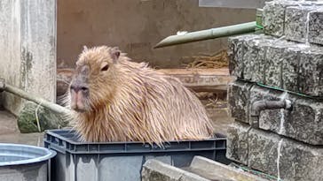 東武動物公園に投稿された画像（2022/12/6）