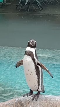 東武動物公園に投稿された画像（2022/12/6）