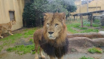 東武動物公園に投稿された画像（2022/12/6）