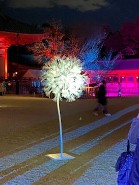 NAKEDヨルモウデ2022平安神宮に投稿された画像（2022/12/6）