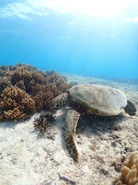 ちゃこたびに投稿された画像（2022/12/6）