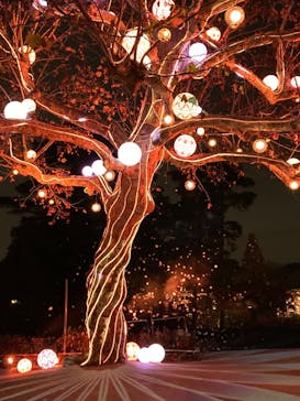 西武園ゆうえんちに投稿された画像（2022/12/7）