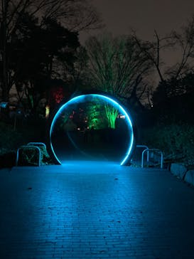 西武園ゆうえんちに投稿された画像（2022/12/7）