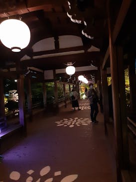 NAKEDヨルモウデ2022平安神宮に投稿された画像（2022/12/7）