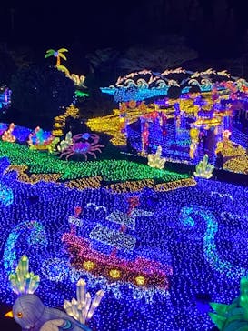 伊豆ぐらんぱる公園に投稿された画像（2022/12/7）