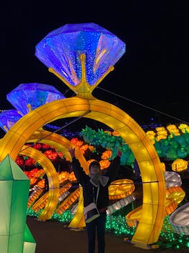 伊豆ぐらんぱる公園に投稿された画像（2022/12/7）