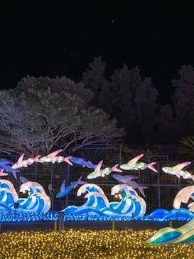 伊豆ぐらんぱる公園に投稿された画像（2022/12/7）