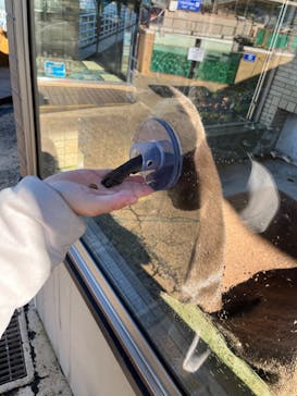 下田海中水族館に投稿された画像（2022/12/7）