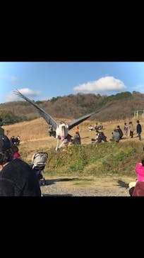 秋吉台自然動物公園 サファリランドに投稿された画像（2022/12/7）