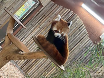 熱川バナナワニ園に投稿された画像（2022/12/6）