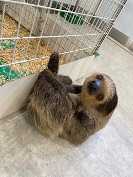 アニタッチみなとみらいに投稿された画像（2022/12/7）