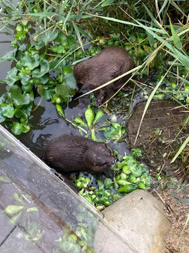 神戸どうぶつ王国に投稿された画像（2022/12/7）