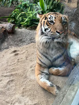 神戸どうぶつ王国に投稿された画像（2022/12/7）