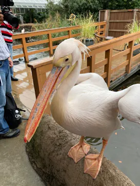 神戸どうぶつ王国に投稿された画像（2022/12/7）