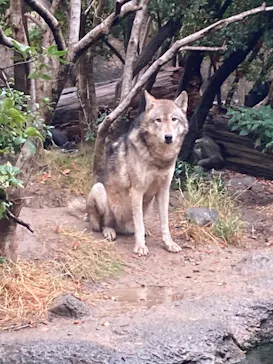 神戸どうぶつ王国に投稿された画像（2022/12/7）