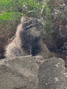 神戸どうぶつ王国に投稿された画像（2022/12/7）