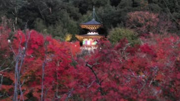 京阪電車に投稿された画像（2022/12/7）