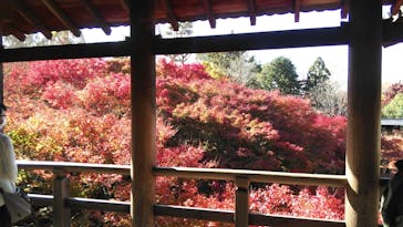 京阪電車に投稿された画像（2022/12/7）