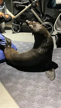 すみだ水族館に投稿された画像（2022/12/7）