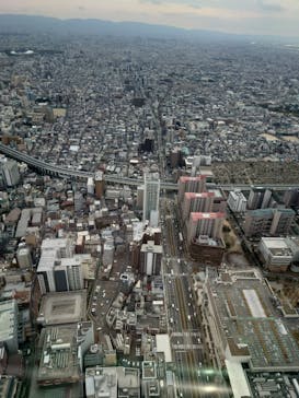 ハルカス300(展望台)に投稿された画像（2022/12/7）