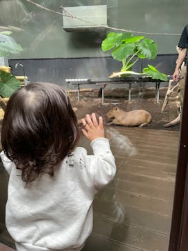 カワスイ 川崎⽔族館に投稿された画像（2022/12/7）