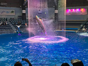 マクセル アクアパーク品川に投稿された画像（2022/12/7）